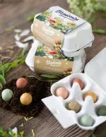 Blossombs Semínkové bomby - Dárkový box na vajíčka - Kytice (6 ks) - originální a praktický dárek