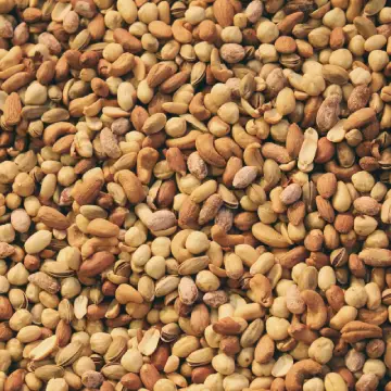 Semena, ořechy, sušené ovoce